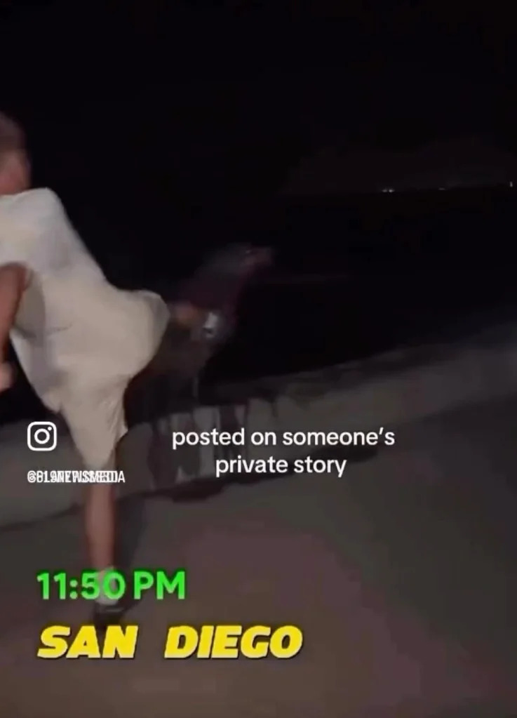Viral Video Shows Man Kicking Sea Lion at La Jolla Cove; NOAA Investigating