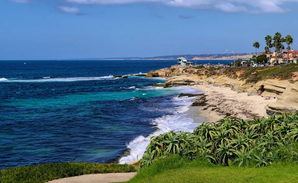 Viral Video Shows Man Kicking Sea Lion at La Jolla Cove; NOAA Investigating