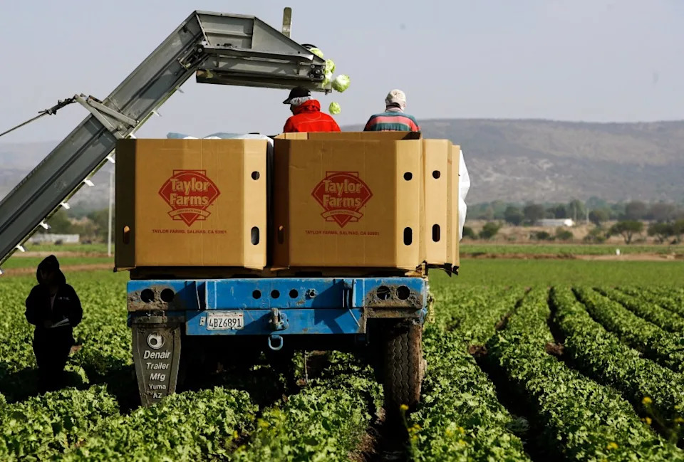 Taylor Farms CEO Responds After Cyclospora Outbreak, Recall and Class-Action Suit