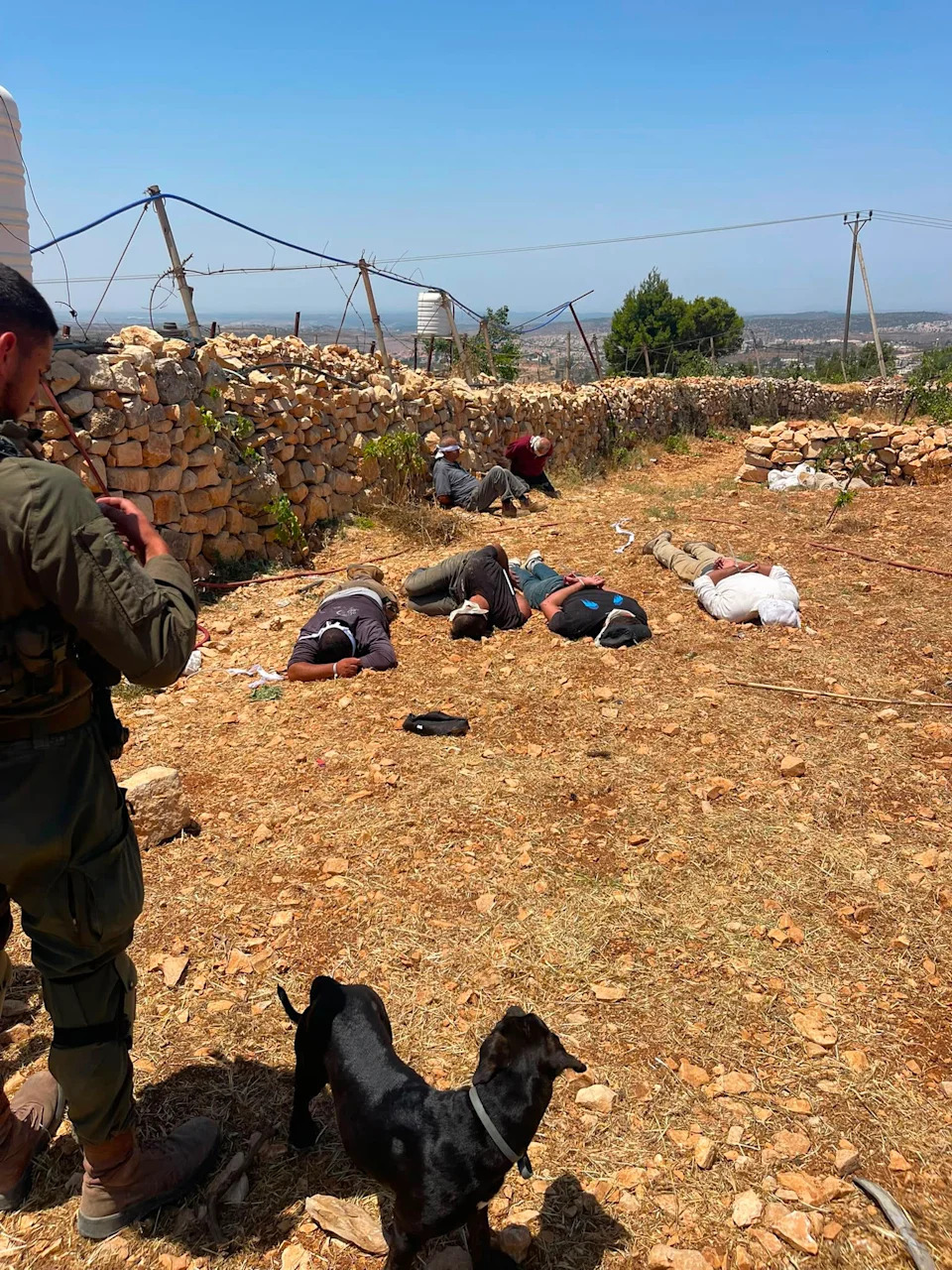 Sedam Palestinaca Privedeno Nakon Sukoba Kod Farme Moreno, Policija Zaplenila Oružje