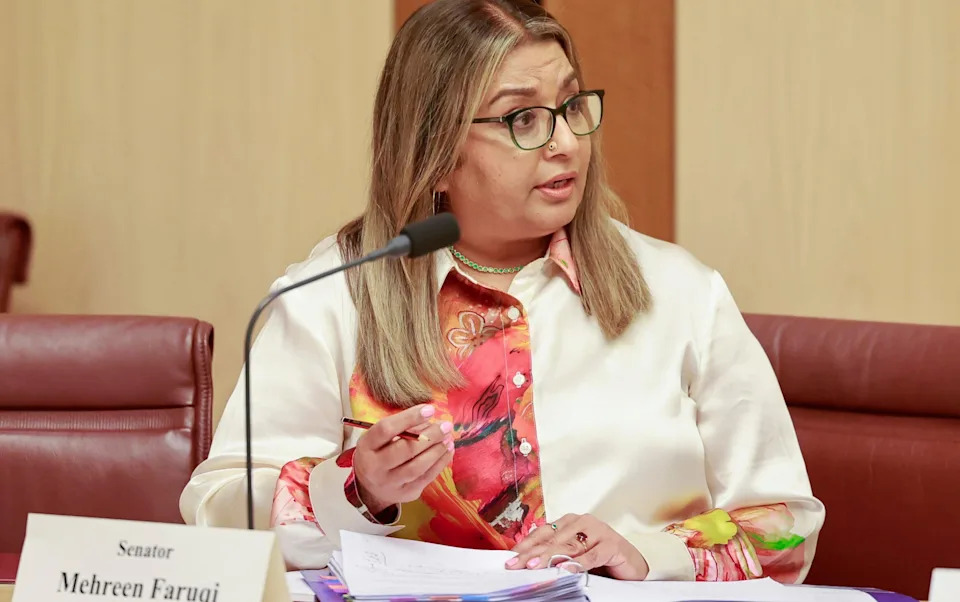 Federalni sud potvrdio: Pauline Hanson rasno uvredila senatorku Mehreen Faruqi
