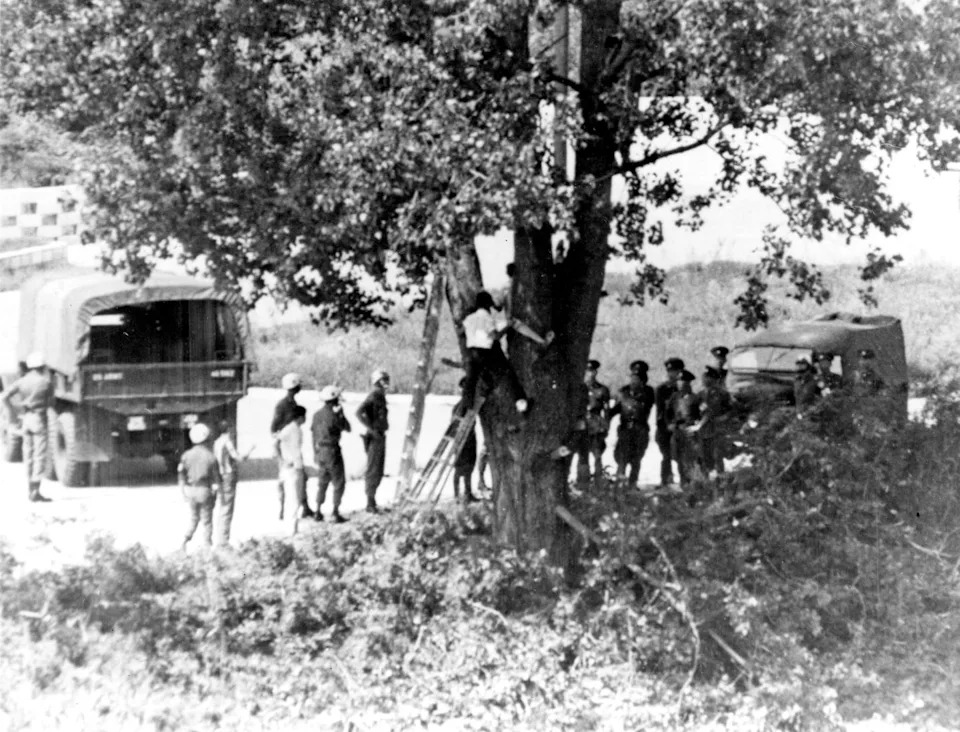 How an Axe Murder and a Tree Nearly Triggered World War III: The True Story of Operation Paul Bunyan