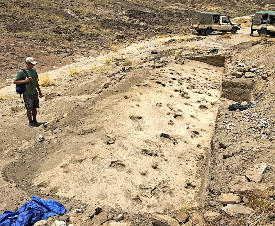 1.4-Million-Year-Old Footprints Suggest Paranthropus boisei Traveled in Male-Only Groups
