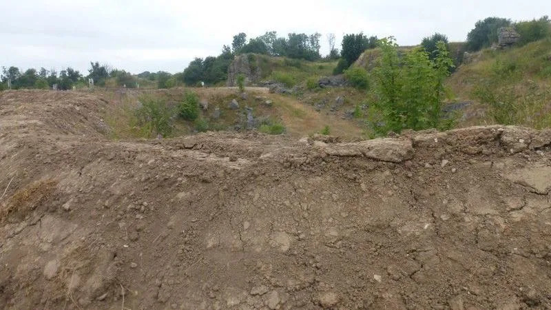 Conservationists Devastated as Safety Work Smothers Rare Butterfly Habitat at Hoe Grange Quarry