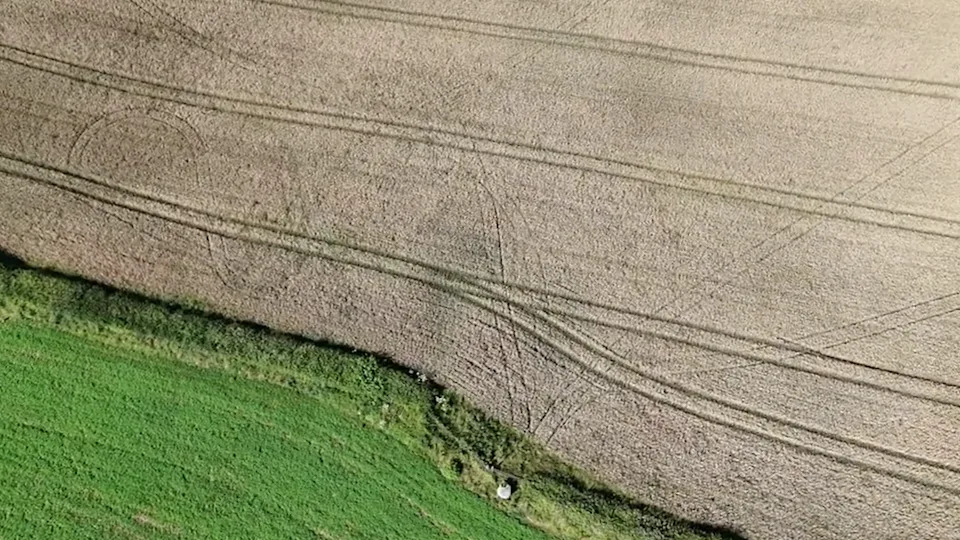 Gates Smashed and Crops Ruined: Hare Coursing Gangs Threaten Farmers West of Cardiff