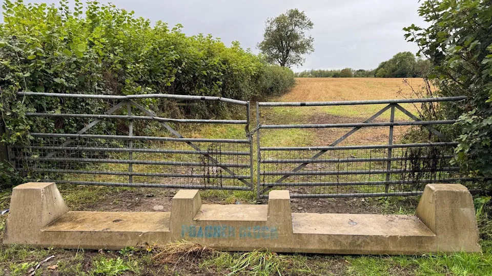 Gates Smashed and Crops Ruined: Hare Coursing Gangs Threaten Farmers West of Cardiff