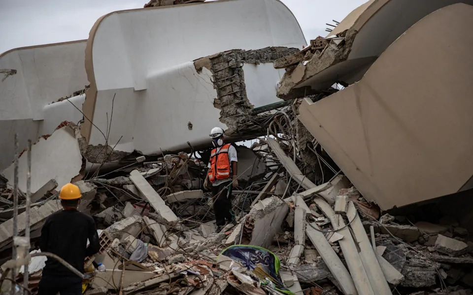 Poodle Beyli Pulled Alive From Venezuelan Earthquake Rubble After 29 Days