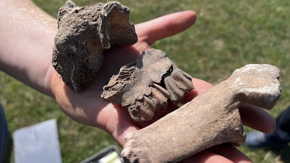 Archaeologists Dig at Sprouston for Potential 6,000-Year-Old Neolithic Enclosure — Could Be The Most Northerly Known