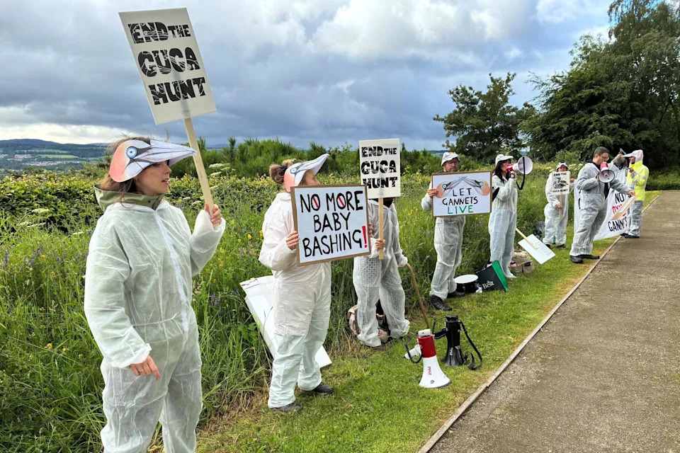 NatureScot Advises Refusal Of Centuries-Old 'Guga' Hunt Licence On Sula Sgeir