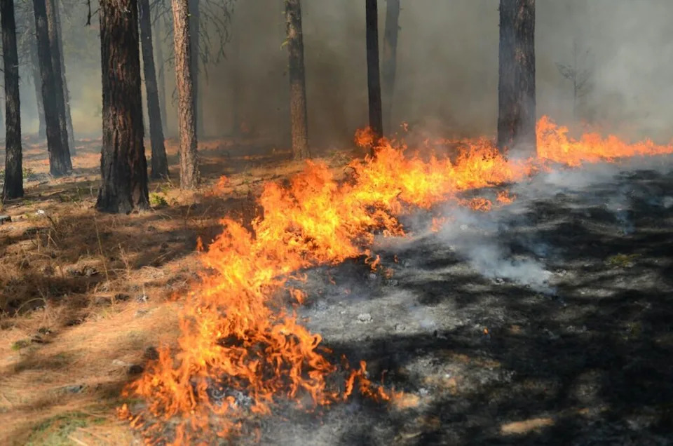 The Worst US Wildfire Years of the 21st Century — Is 2026 Joining Them?