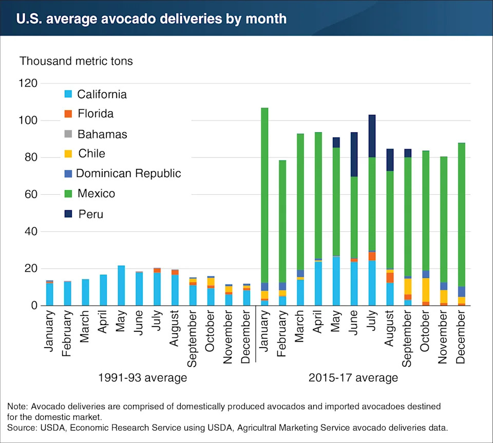 Better Guacamole, Cleaner Rivers: How U.S. Import Rules Cut Mexico’s Avocado Pollution