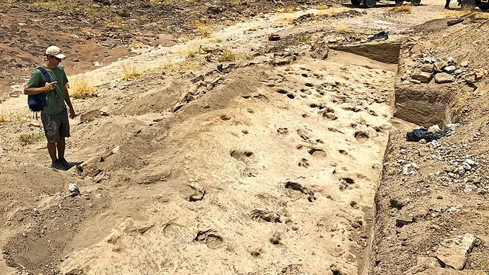 Fosilni otisci iz Koobi Fore menjaju sliku „Nutcracker Mana“ — Paranthropus boisei viši, teži i društveniji nego što se verovalo
