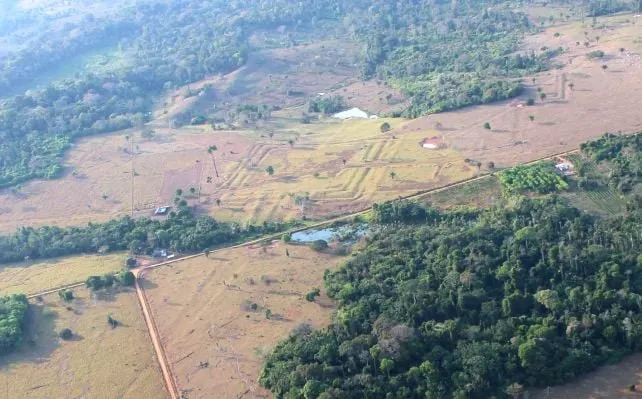 LiDAR Razotkriva Amazonsku Tajnu: Aquiry Mreža Sa Do 3 Miliona Stanovnika i Do 30.000 Zemljanih Radova