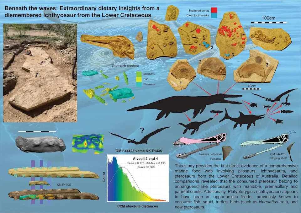 Neverovatan Fosil Iz Outbacka: Kronosaurus Je Pojeo Iktihozaura Koji Je Gutao Pterosaurusa