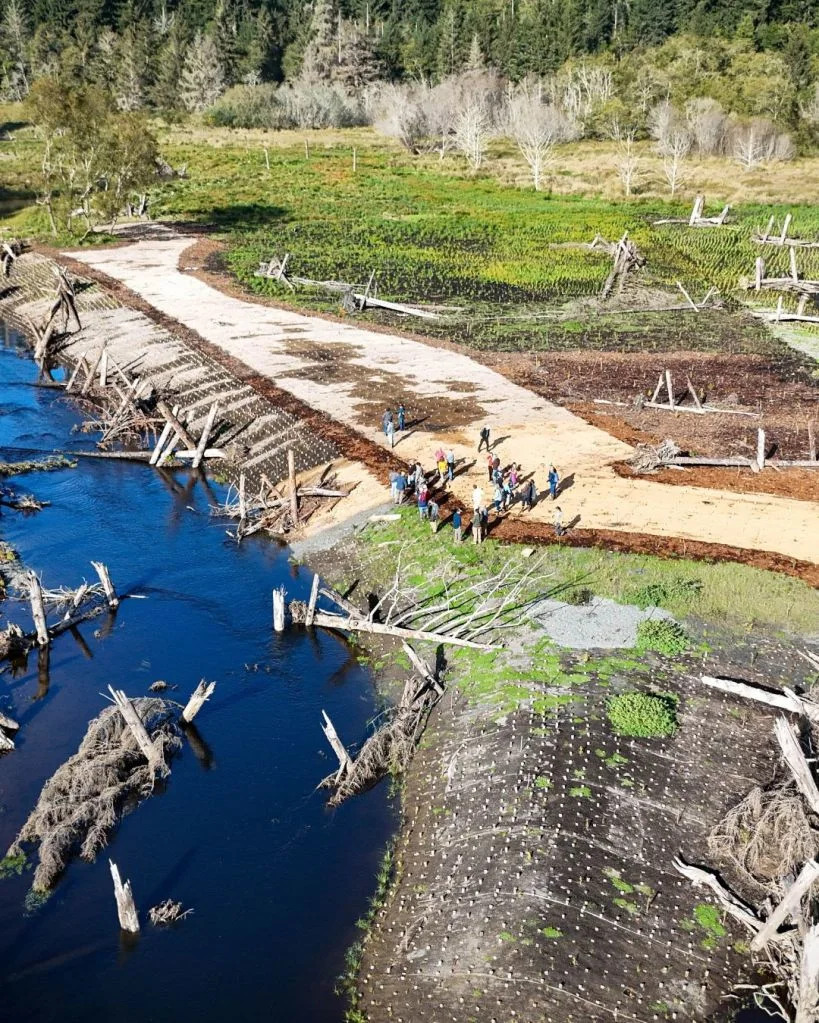 125 Acres Returned to the Yurok Tribe: Restored Salmon Habitat and O Rew Redwoods Gateway Opens Aug. 1