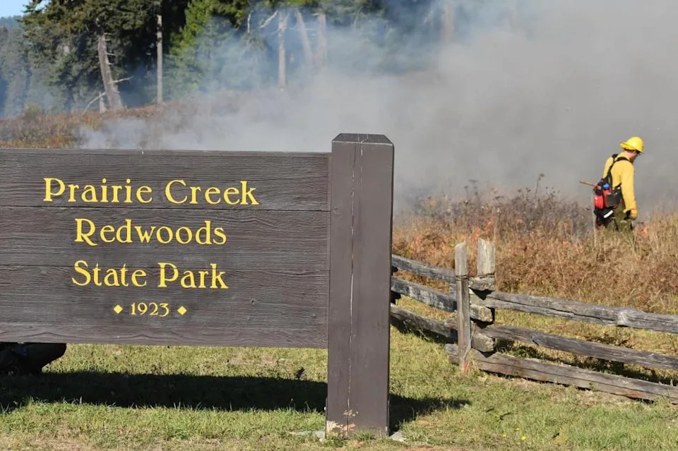 125 Acres Returned to the Yurok Tribe: Restored Salmon Habitat and O Rew Redwoods Gateway Opens Aug. 1