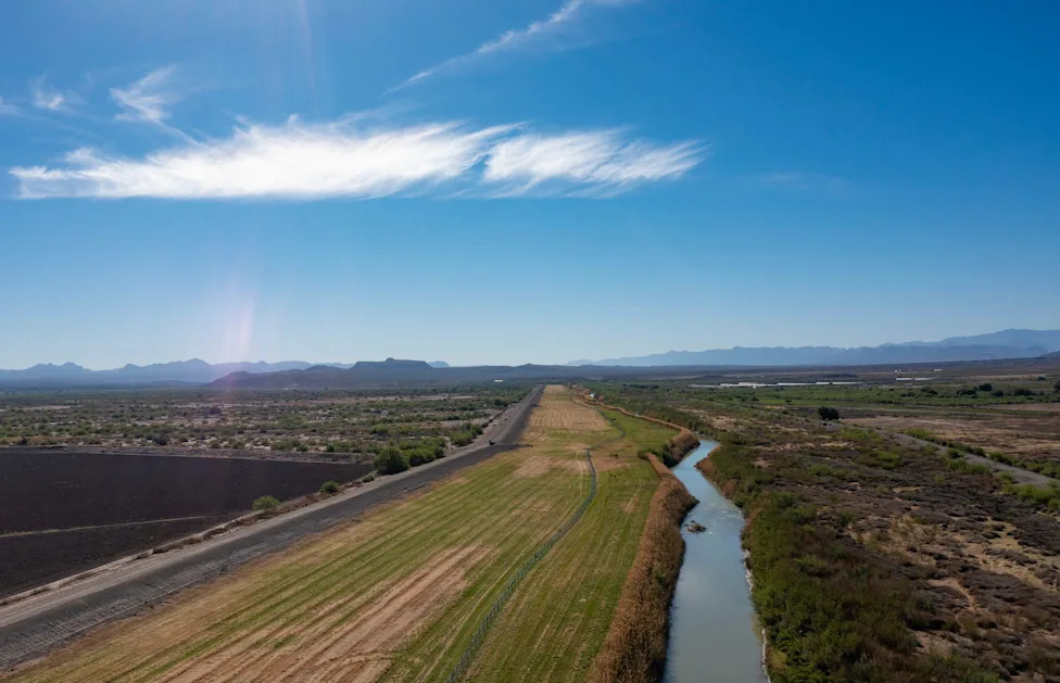 Activists Stage Tree Sit to Halt Border Wall Work at Historic Arizona Cottonwood
