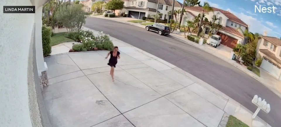 Giant Rattlesnakes Lock in Rare 'Combat Dance' on Thousand Oaks Street as Snakebites Rise