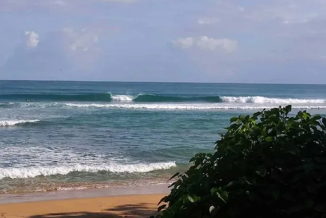 Ohio Man Found Execution-Style on Puerto Rico Beach — Family Demands Answers, Launches GoFundMe