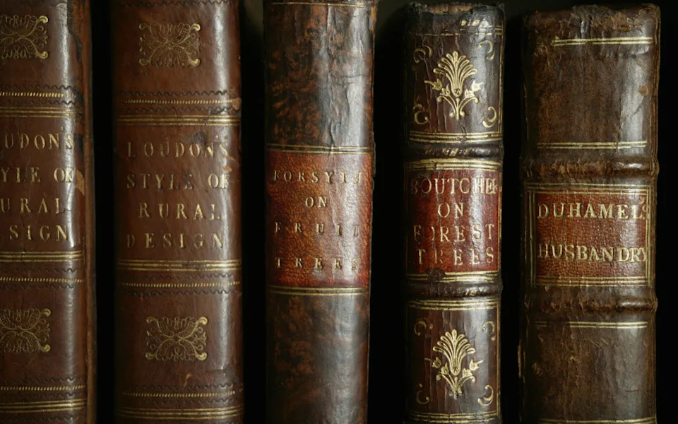Cultural Barbarism: How AI Firms Are Bulk-Buying, Scanning — and Destroying — the World's Books