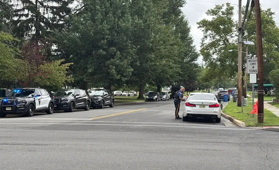 New Jersey Officer Disguised as Shrub Issues 74 Distracted-Driving Tickets in Six Hours