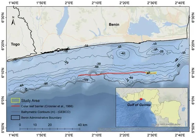 Rediscovered: Living Mesophotic Coral Garden Found Off Benin After 60 Years