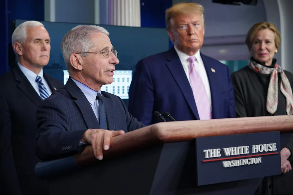 Public Health Leaders Rally Behind Fauci, Call Him a 'Hero' After Heated Senate Hearing