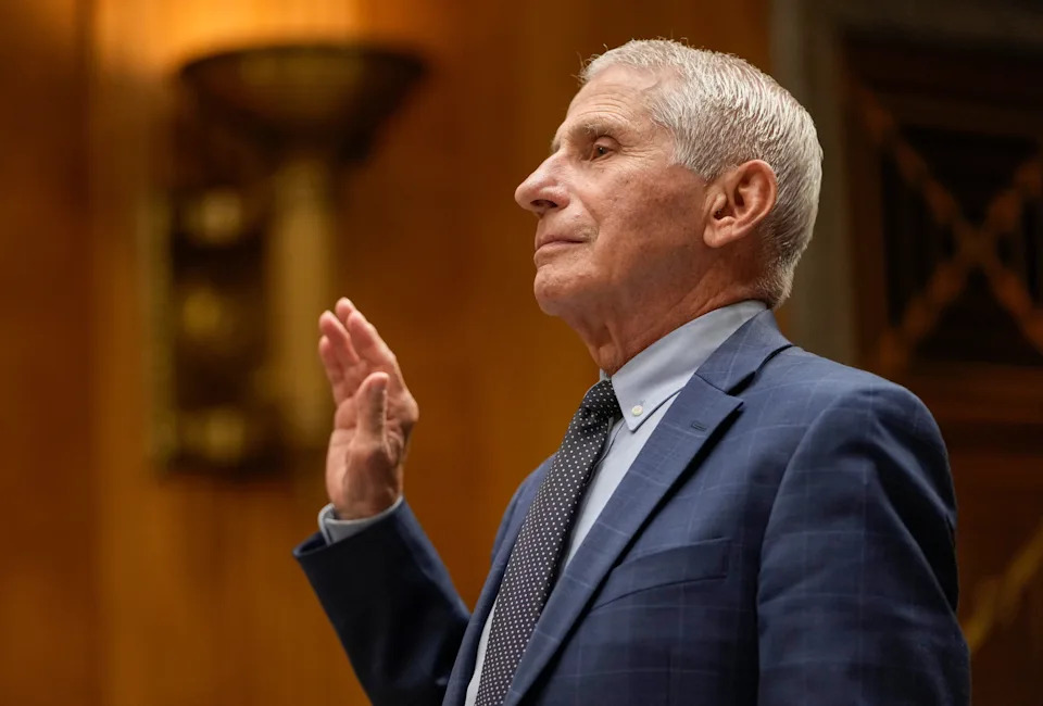 Public Health Leaders Rally Behind Fauci, Call Him a 'Hero' After Heated Senate Hearing