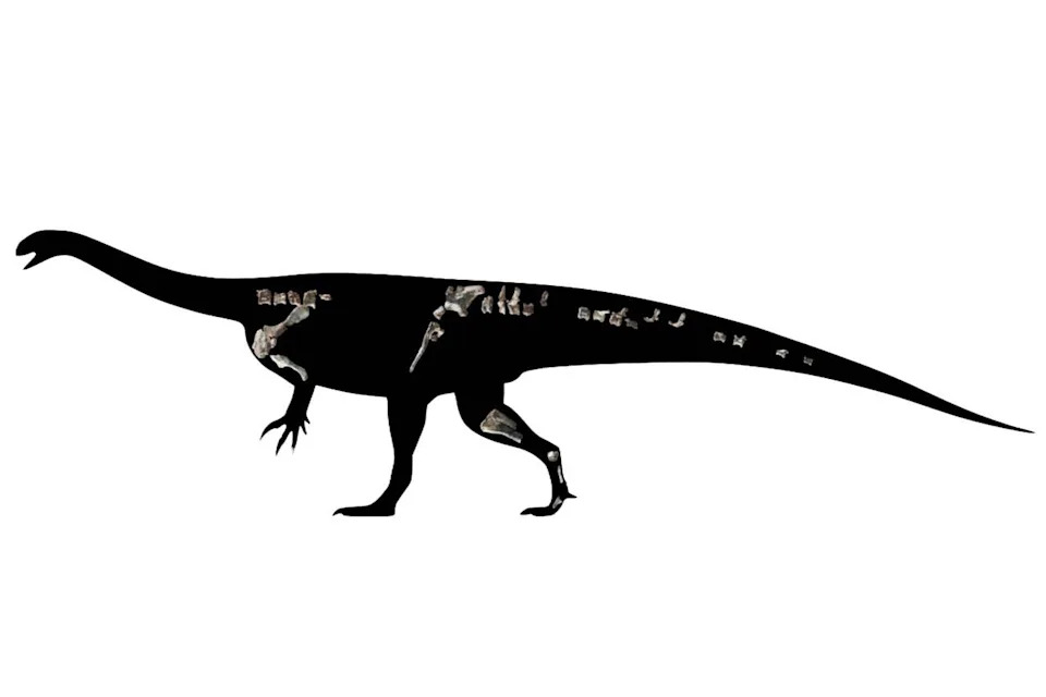 New 210-Million-Year-Old Dinosaur Discovered in Zimbabwe — Musango matusadonaensis