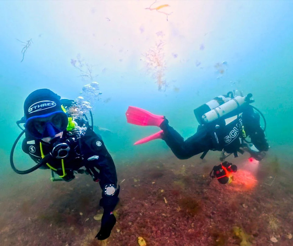 After 40 Years, Scientist Confirms New 'Pink-Zebra' Seaweed From UK Maerl Beds
