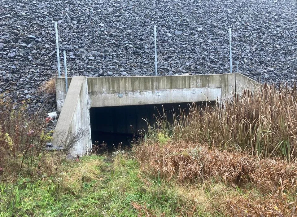 Pennsylvania Launches 11-Agency Work Group to Expand Wildlife Crossings and Cut Vehicle Collisions