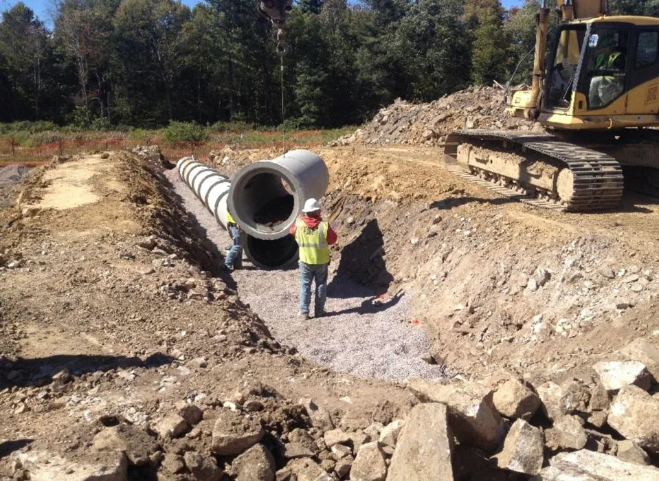 Pennsylvania Launches 11-Agency Work Group to Expand Wildlife Crossings and Cut Vehicle Collisions