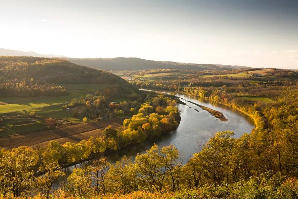 Pennsylvania Launches 11-Agency Work Group to Expand Wildlife Crossings and Cut Vehicle Collisions