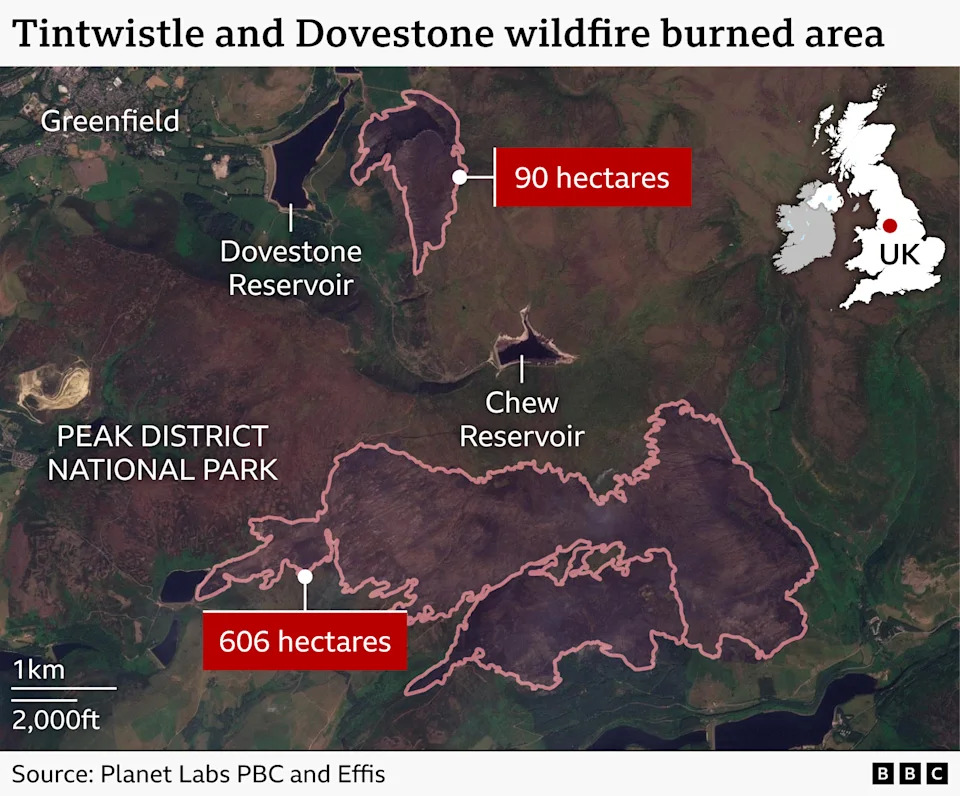 MP Urges Retailers To Stop Selling Disposable BBQs For Rest Of Summer Amid Wildfire Surge