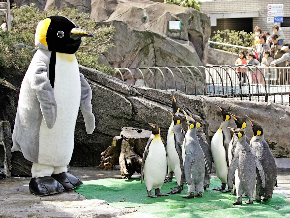 Don't Let Elections Decide Which Species Survive: A Call For Durable, Science-Based Conservation