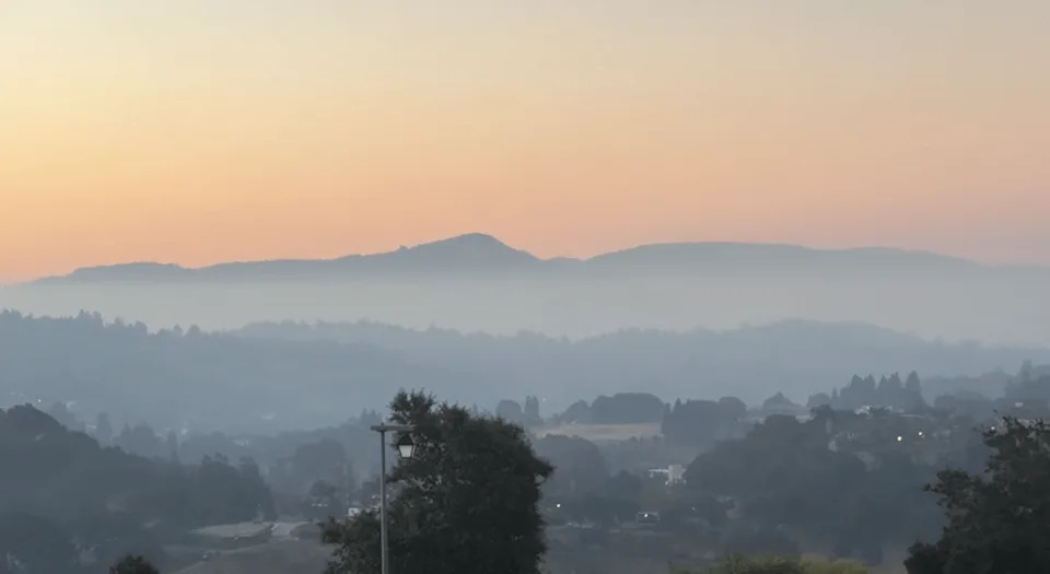32-Year-Old Transient Arrested In Sonoma County Arson Probe Amid Surge Of Suspicious Fires