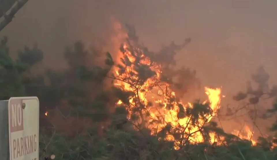 32-Year-Old Transient Arrested In Sonoma County Arson Probe Amid Surge Of Suspicious Fires