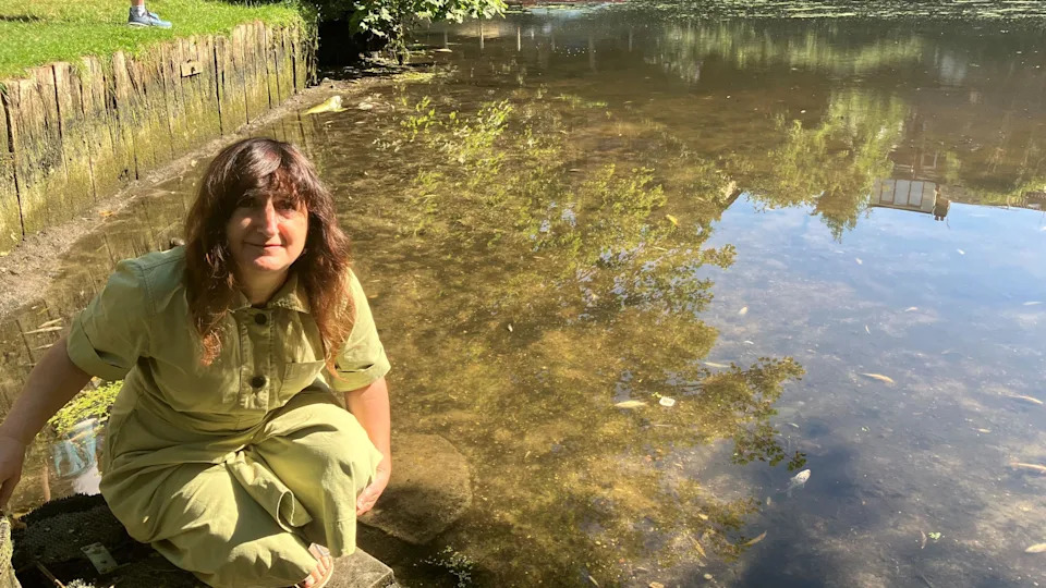 Heatwave and Drainage Runoff Blamed for Hundreds of Fish Found Dead on River Wensum