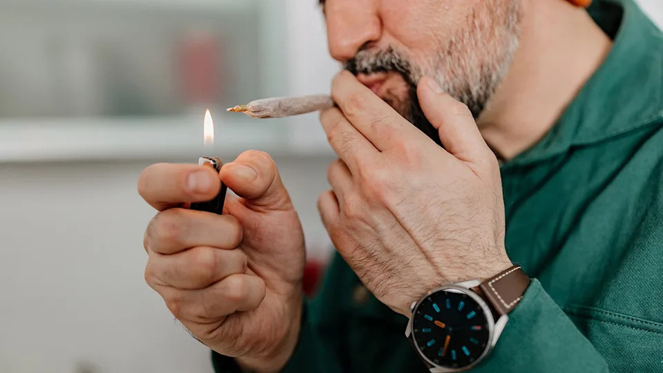 Daily Marijuana Use Now Exceeds Daily Drinking and Smoking, Federal Survey Finds