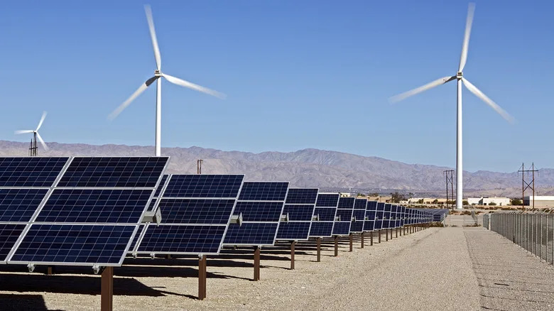 Nine U.S. States Leading the Solar Transition — How They Are Using the Power of the Sun
