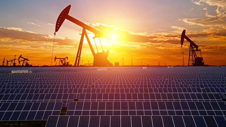 Nine U.S. States Leading the Solar Transition — How They Are Using the Power of the Sun