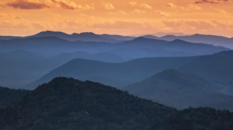 Nine U.S. States Leading the Solar Transition — How They Are Using the Power of the Sun