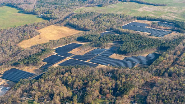 Nine U.S. States Leading the Solar Transition — How They Are Using the Power of the Sun