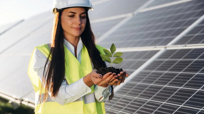 Nine U.S. States Leading the Solar Transition — How They Are Using the Power of the Sun
