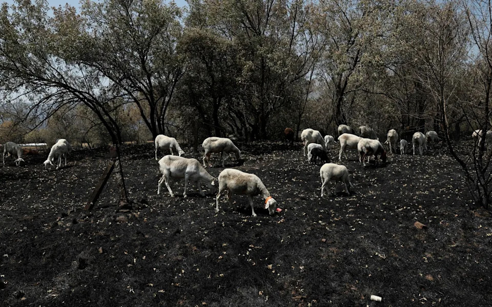 Nestajuća sela ostavljaju Evropu u eri požara