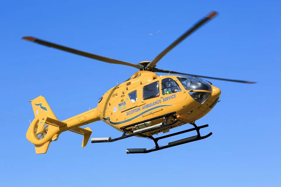 Majka i Dvogodišnjak Ubodeni Više Od 150 Puta: Helikopterom Prevezeni Posle Napada Roja Pčela