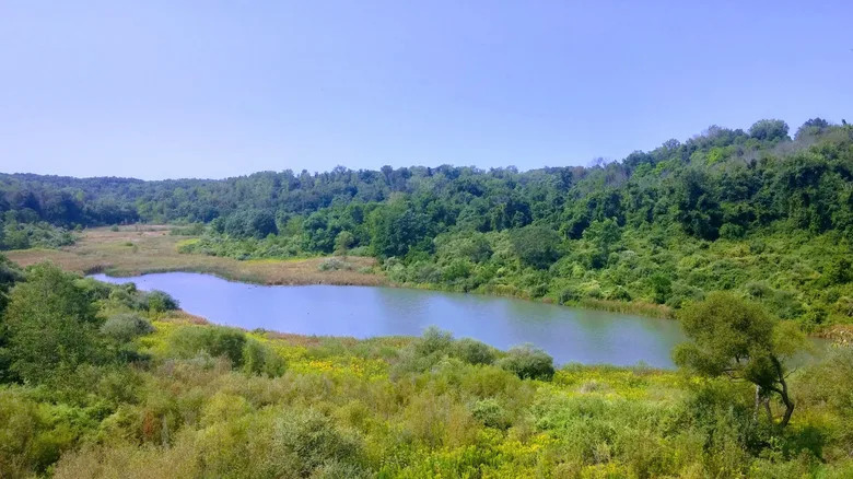 Ohio Opens 13,000 Acres of Egypt Valley Wildlife Area to Fracking, Sparking Outcry