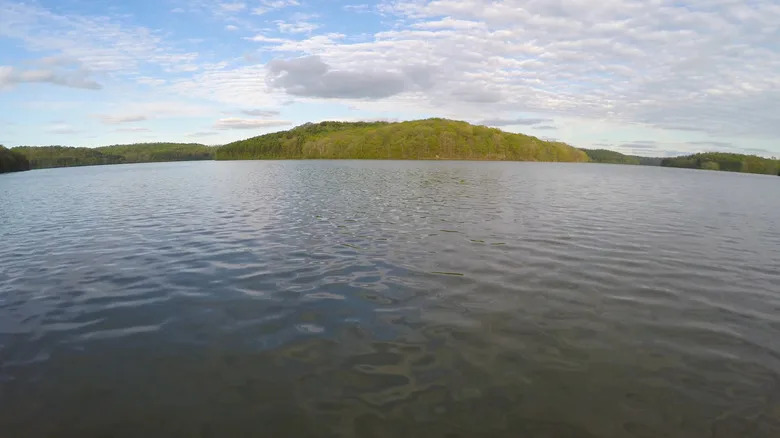 Ohio Opens 13,000 Acres of Egypt Valley Wildlife Area to Fracking, Sparking Outcry