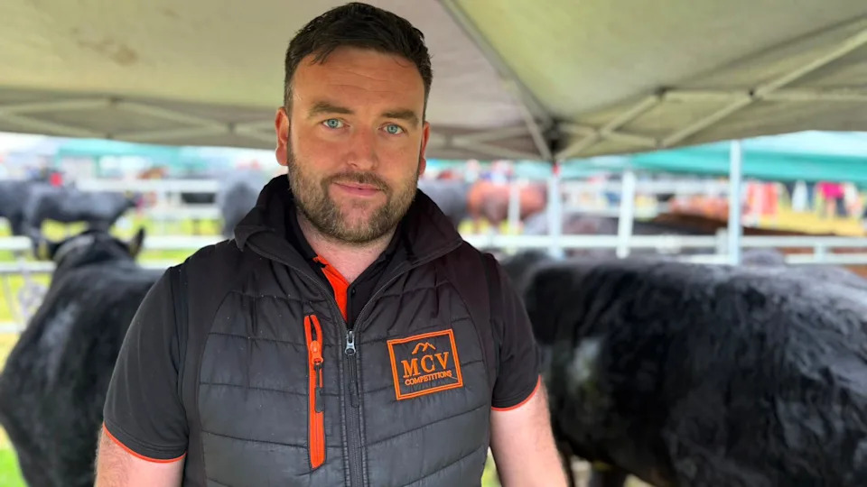 ‘You Can’t Describe The Loss’ — Northern Ireland Farmers Face Emotional and Financial Toll From Bovine TB