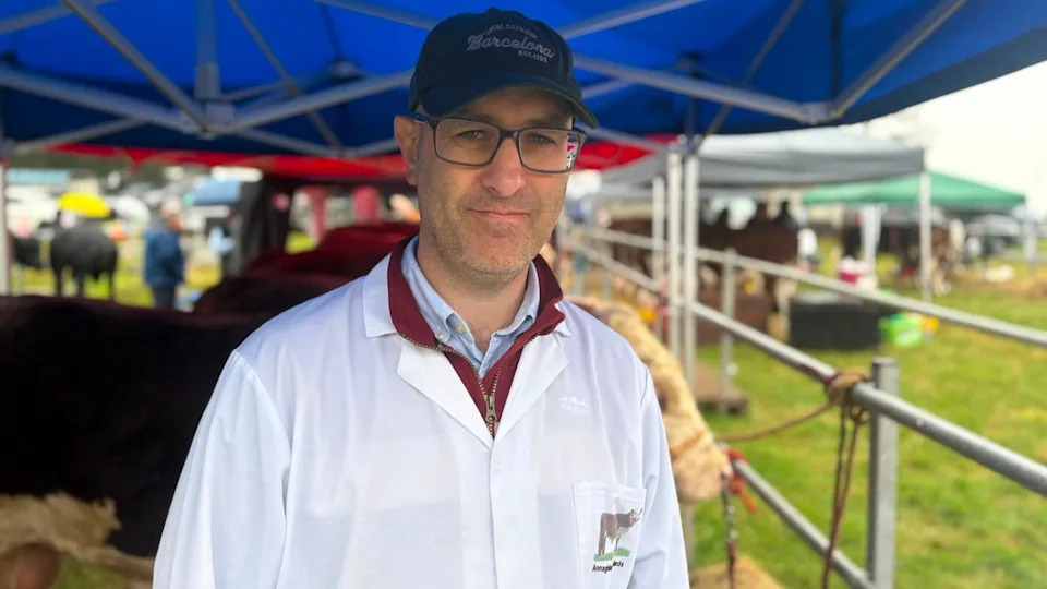 ‘You Can’t Describe The Loss’ — Northern Ireland Farmers Face Emotional and Financial Toll From Bovine TB